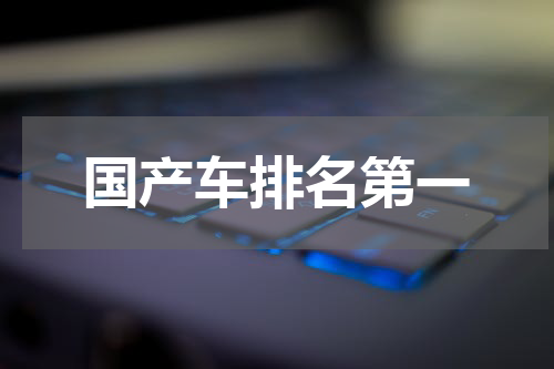 国产车排名第一