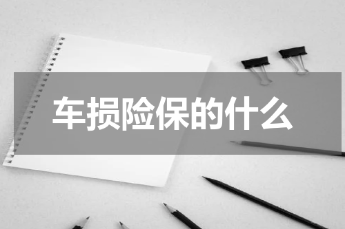 车损险保的什么