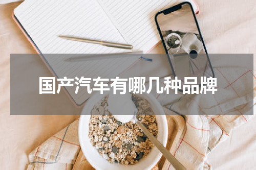 国产汽车有哪几种品牌