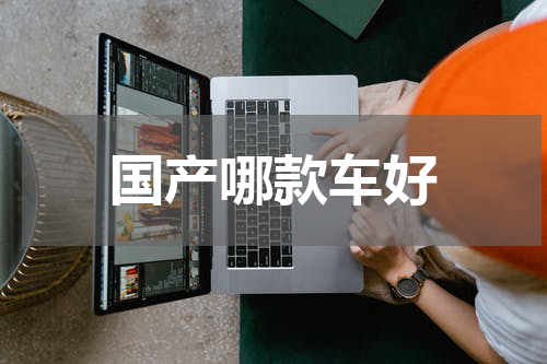 国产哪款车好
