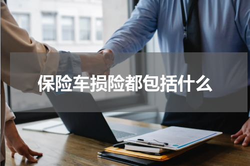 保险车损险都包括什么