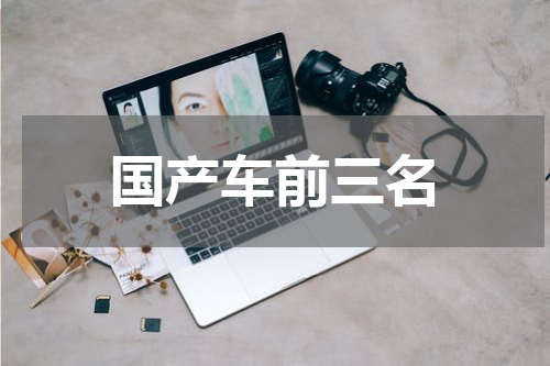 国产车前三名