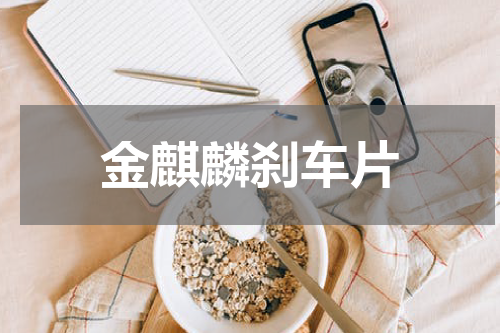 金麒麟刹车片