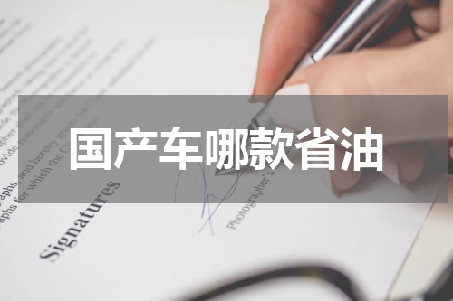 国产车哪款省油