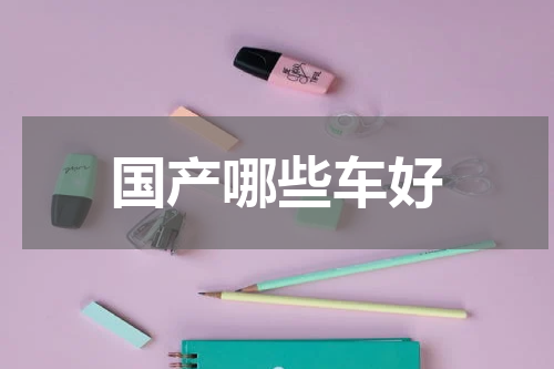 国产哪些车好