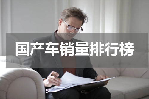 国产车销量排行榜