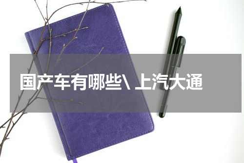 国产车有哪些\ 上汽大通