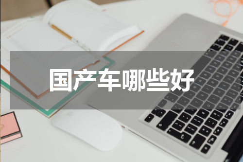 国产车哪些好