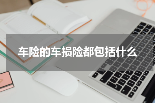车险的车损险都包括什么