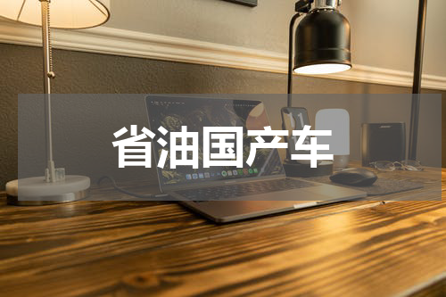 省油国产车