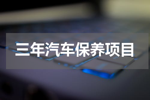 三年汽车保养项目
