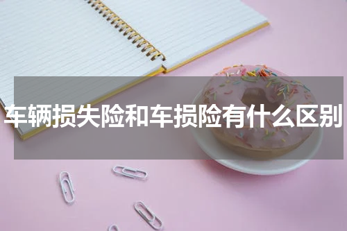 车辆损失险和车损险有什么区别