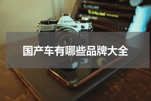 国产车有哪些品牌大全