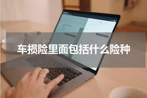 车损险里面包括什么险种