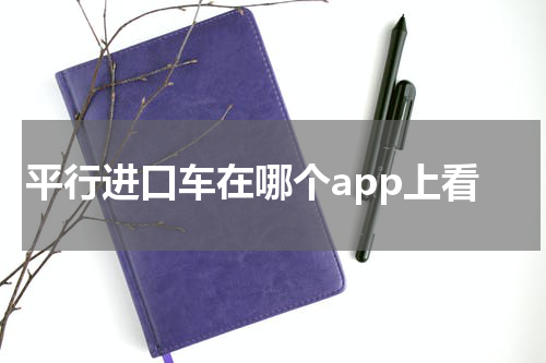 平行进口车在哪个app上看