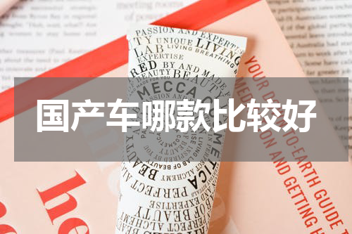 国产车哪款比较好
