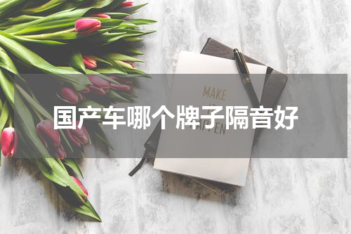 国产车哪个牌子隔音好