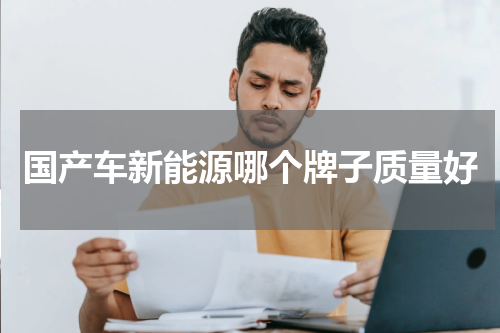 国产车新能源哪个牌子质量好