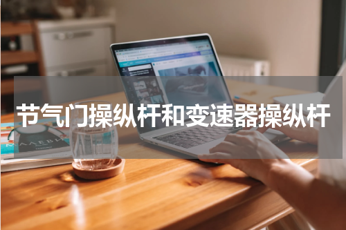 节气门操纵杆和变速器操纵杆
