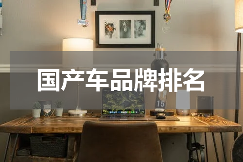 国产车品牌排名