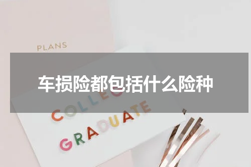 车损险都包括什么险种