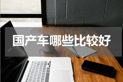国产车哪些比较好