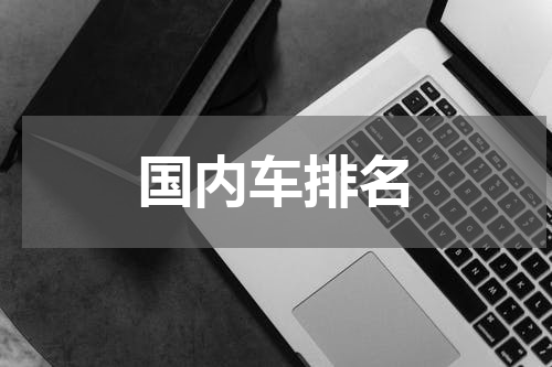 国内车排名