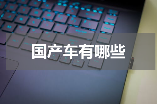 国产车有哪些