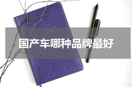 国产车哪种品牌最好