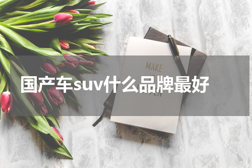 国产车suv什么品牌最好