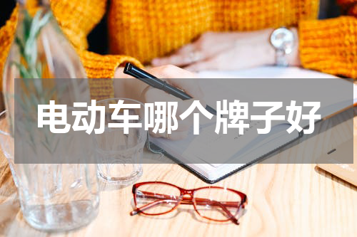 电动车哪个牌子好