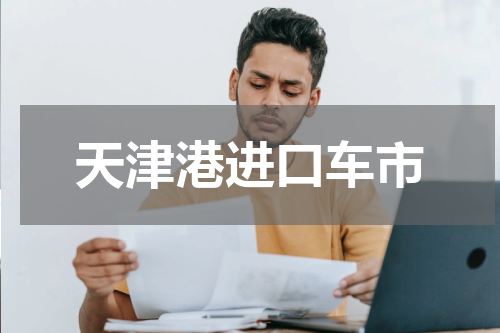 天津港进口车市