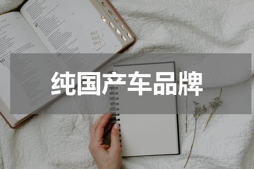 纯国产车品牌
