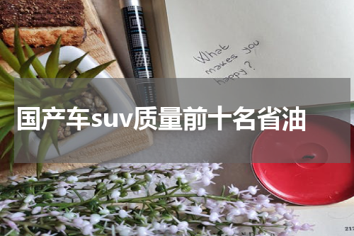 国产车suv质量前十名省油