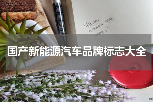 国产新能源汽车品牌标志大全