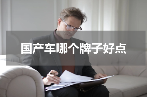 国产车哪个牌子好点