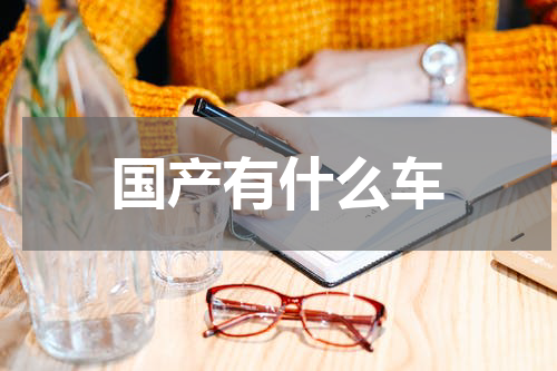 国产有什么车