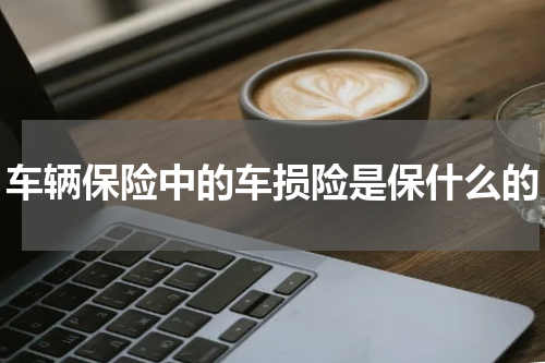 车辆保险中的车损险是保什么的
