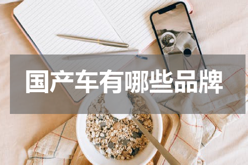 国产车有哪些品牌