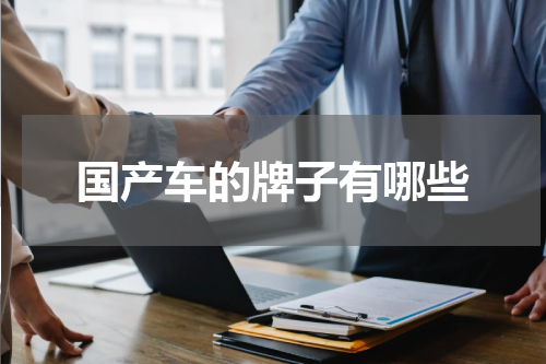 国产车的牌子有哪些