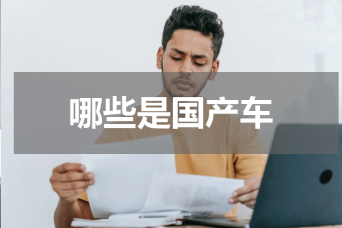 哪些是国产车