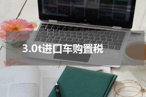 3.0t进口车购置税
