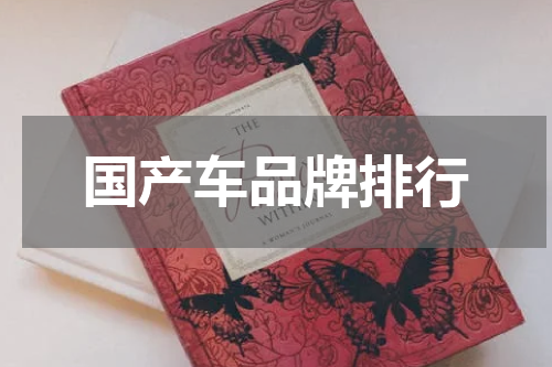国产车品牌排行