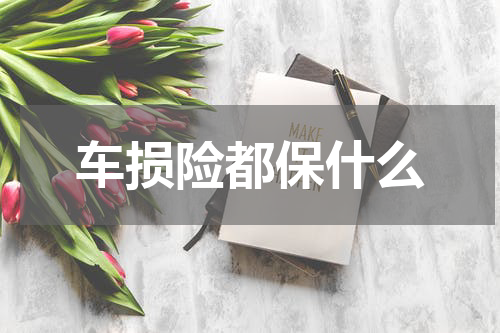 车损险都保什么