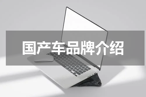 国产车品牌介绍