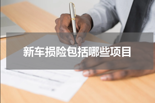 新车损险包括哪些项目