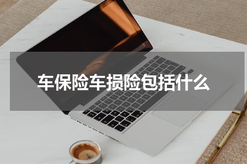 车保险车损险包括什么