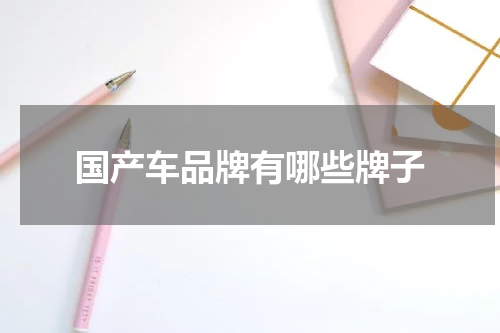 国产车品牌有哪些牌子