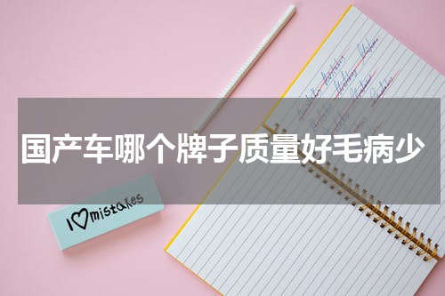 国产车哪个牌子质量好毛病少