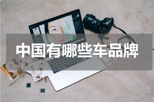中国有哪些车品牌